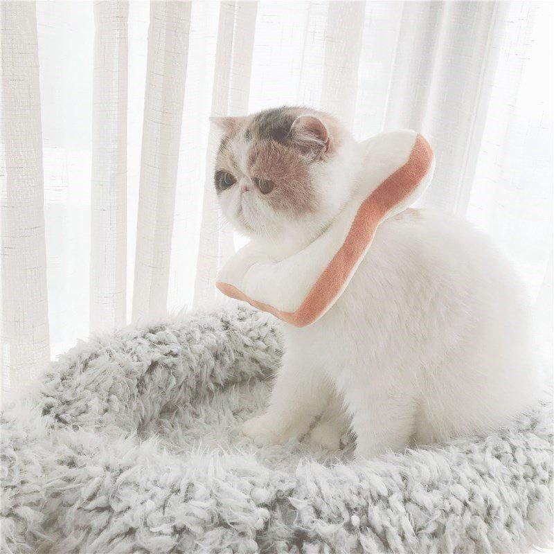 Collier De Chat Toast