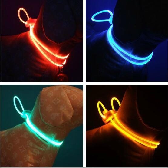 Collier De Lumière Led Pour Animaux De Compagnie