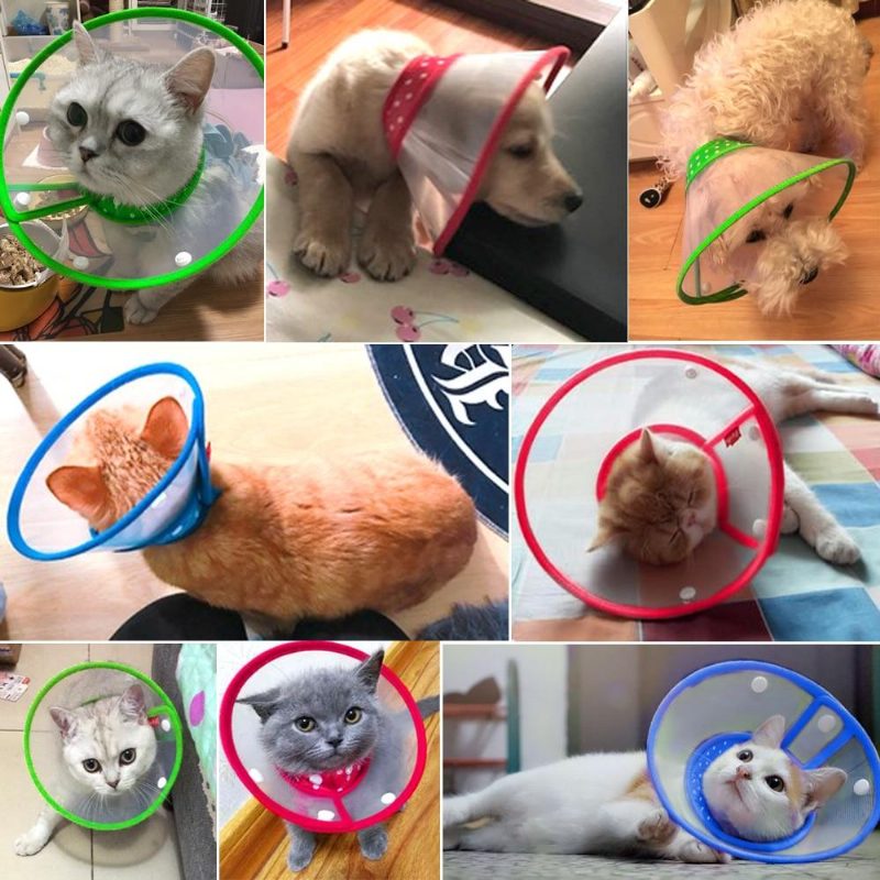 Collier Électronique Anti-morsure Pour Animaux De Compagnie