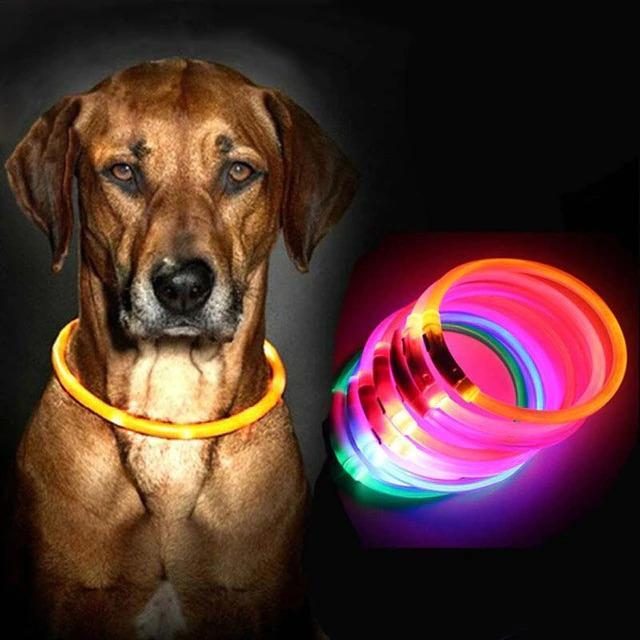 Collier Pour Animal De Compagnie Lumineux Rechargeable