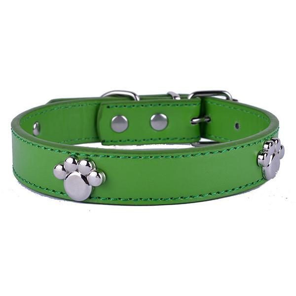 Collier Pour Chien Avec Patte En Argent