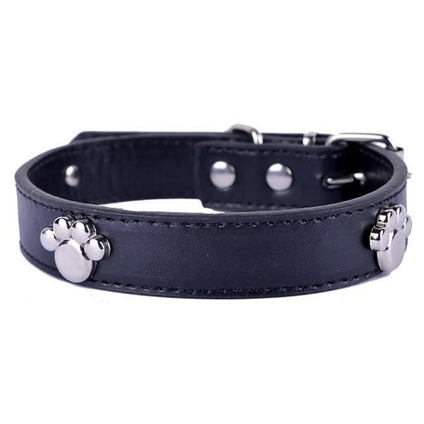 Collier Pour Chien Avec Patte En Argent