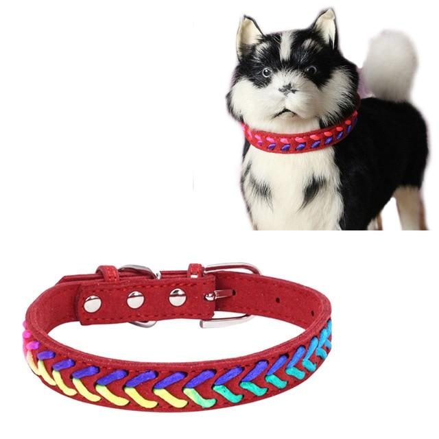 Collier Pour Chien Rembourré En Cuir Tressé