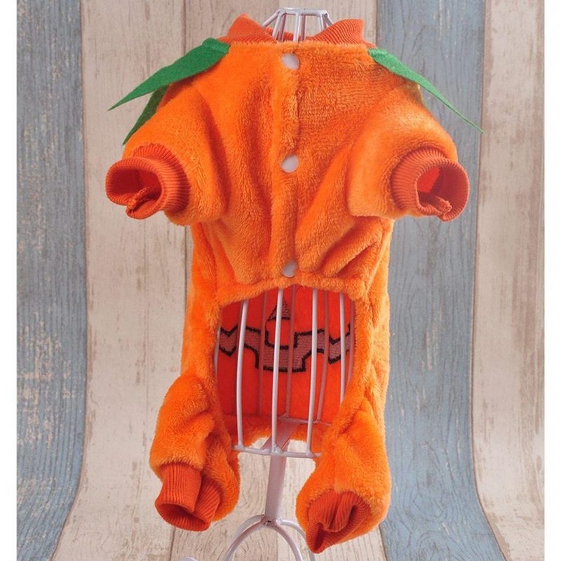 Costume D'animal De Compagnie Mignon De Citrouille