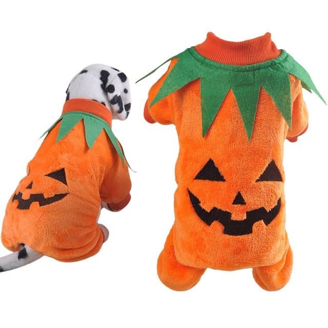 Costume D'animal De Compagnie Mignon De Citrouille