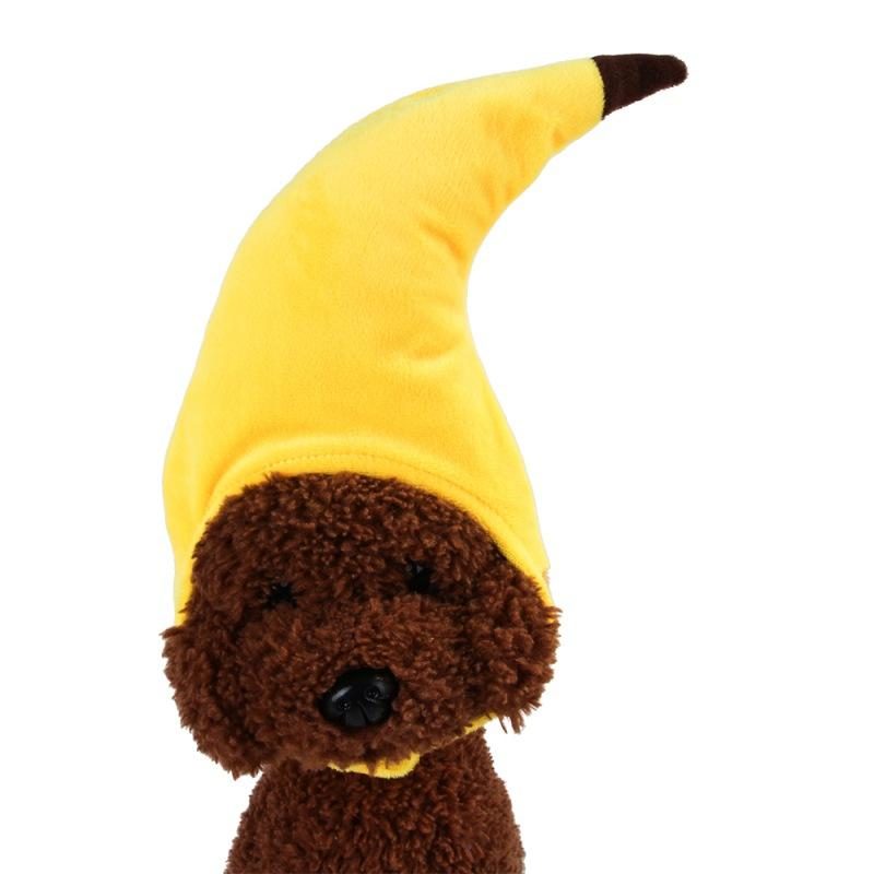 Costume D'animal Familier De Conception De Banane