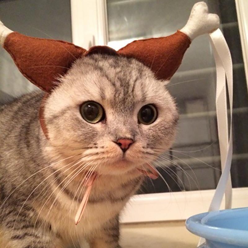 Costume De Cosplay De Boucle De Cheveux De Jambe Usure De Tête De Chat De Poulet