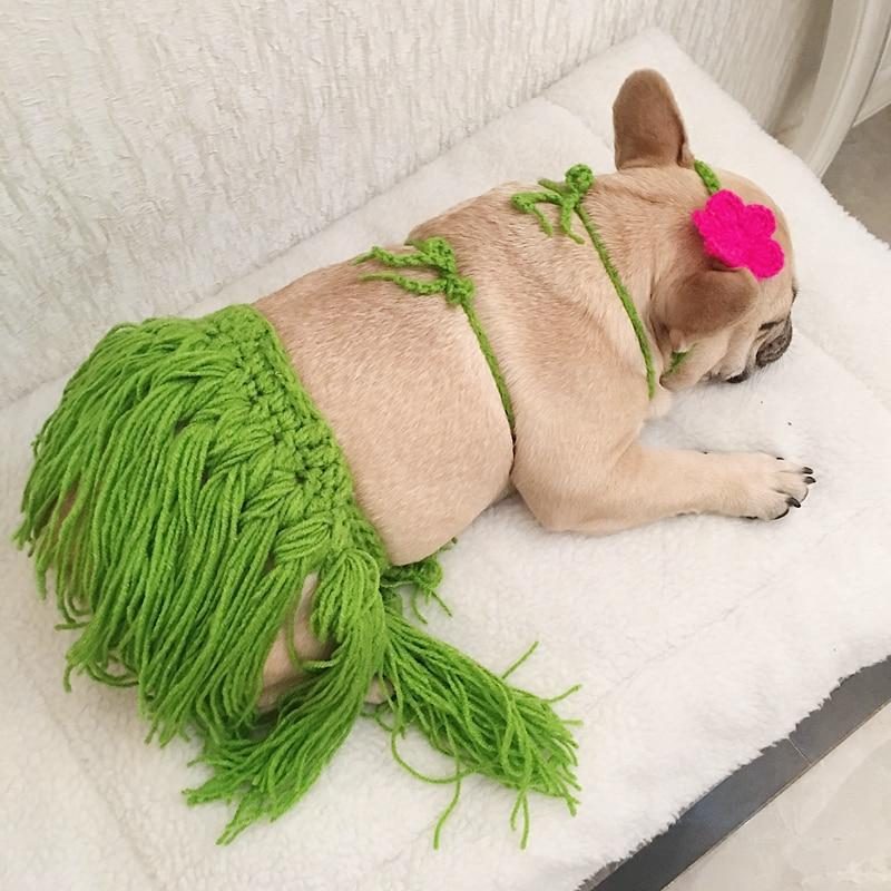 Costume De Jupe Hula Bikini D'été Pour Animaux