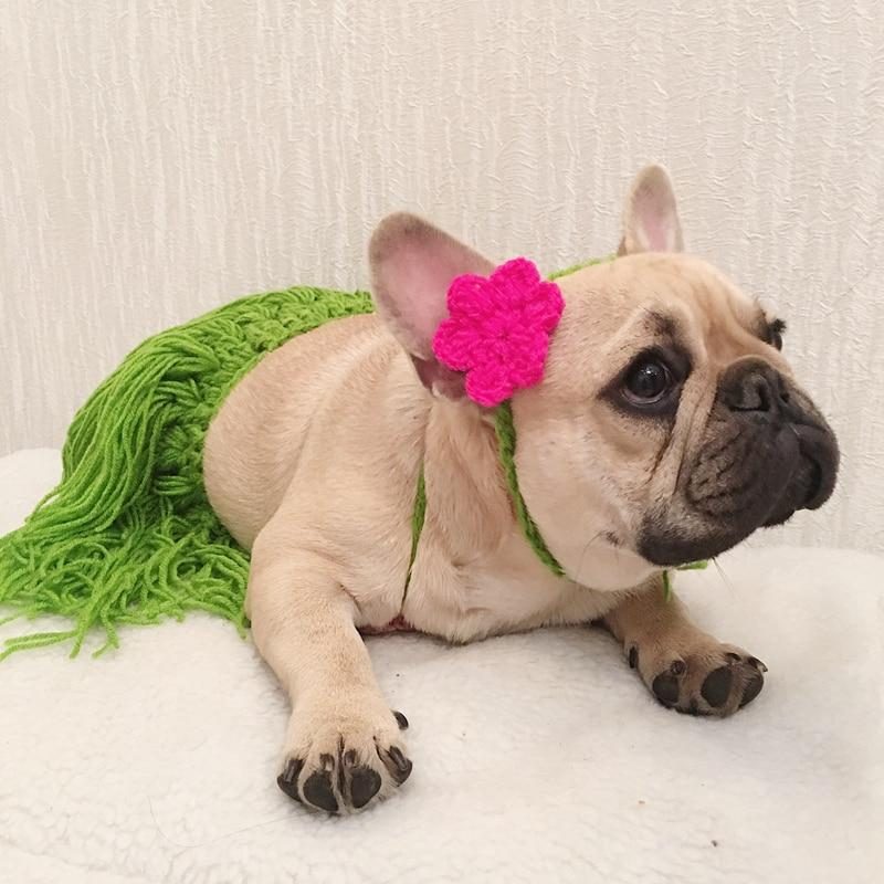 Costume De Jupe Hula Bikini D'été Pour Animaux