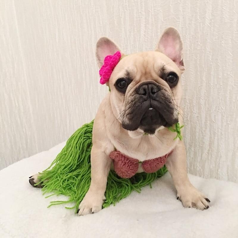 Costume De Jupe Hula Bikini D'été Pour Animaux