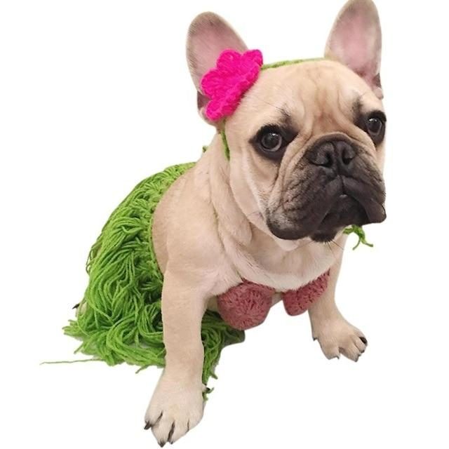 Costume De Jupe Hula Bikini D'été Pour Animaux