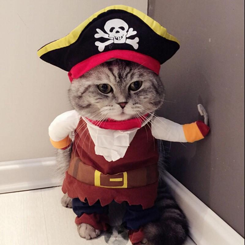 Costume De Pirate Costume De Chat Costume Habiller Des Vêtements De Fête