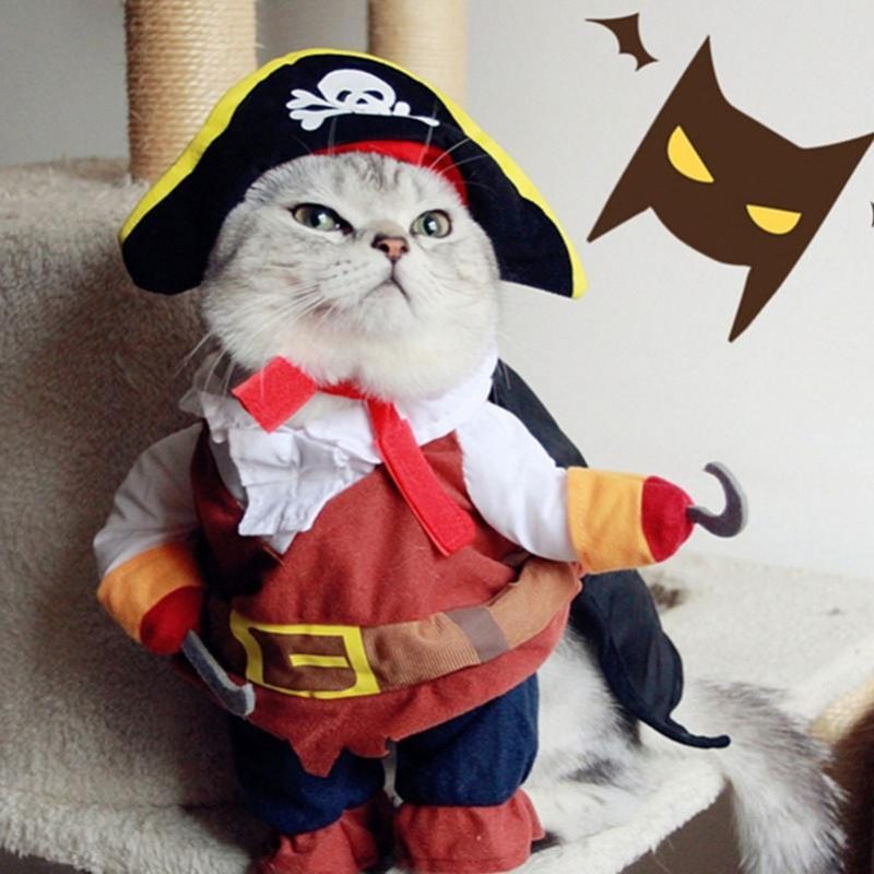 Costume De Pirate Costume De Chat Costume Habiller Des Vêtements De Fête