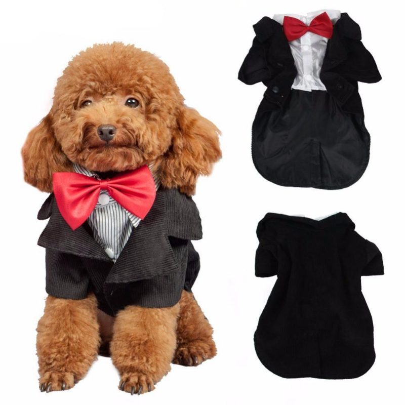 Costume De Smoking De Mariage Élégant Pour Chiens