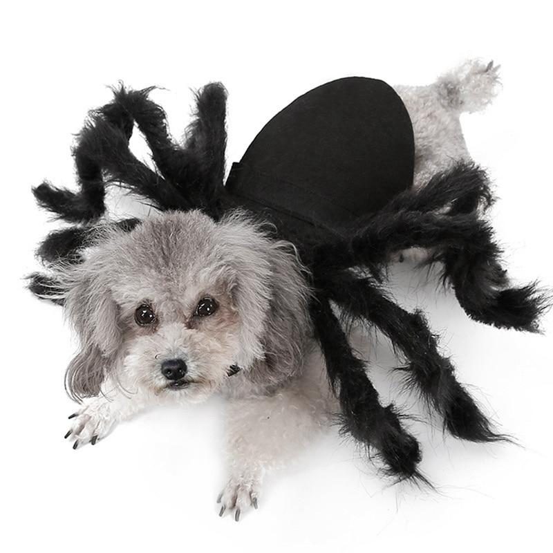 Costume D'halloween Pour Animaux D'araignée