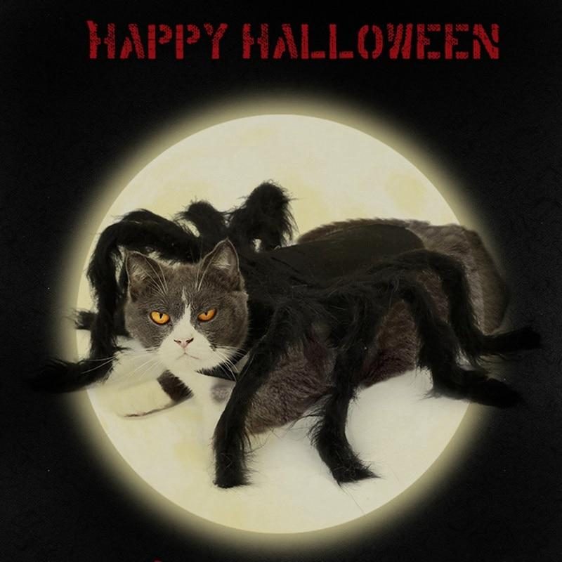 Costume D'halloween Pour Animaux D'araignée