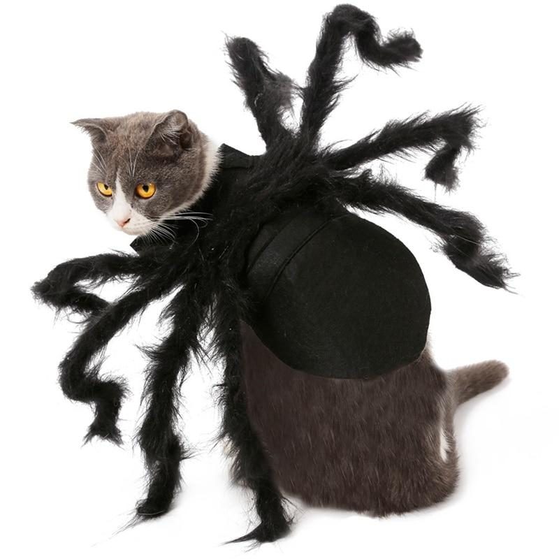 Costume D'halloween Pour Animaux D'araignée