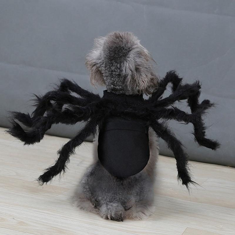 Costume D'halloween Pour Animaux D'araignée