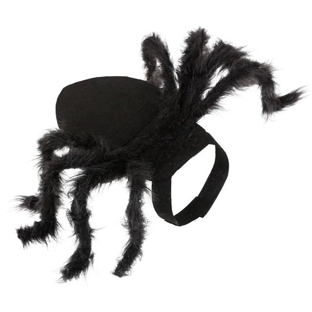Costume D'halloween Pour Animaux D'araignée