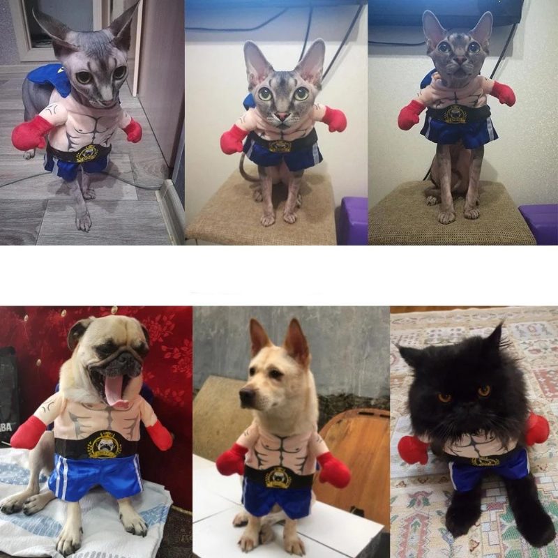 Costume Drôle De Boxeur Pour Animaux De Compagnie