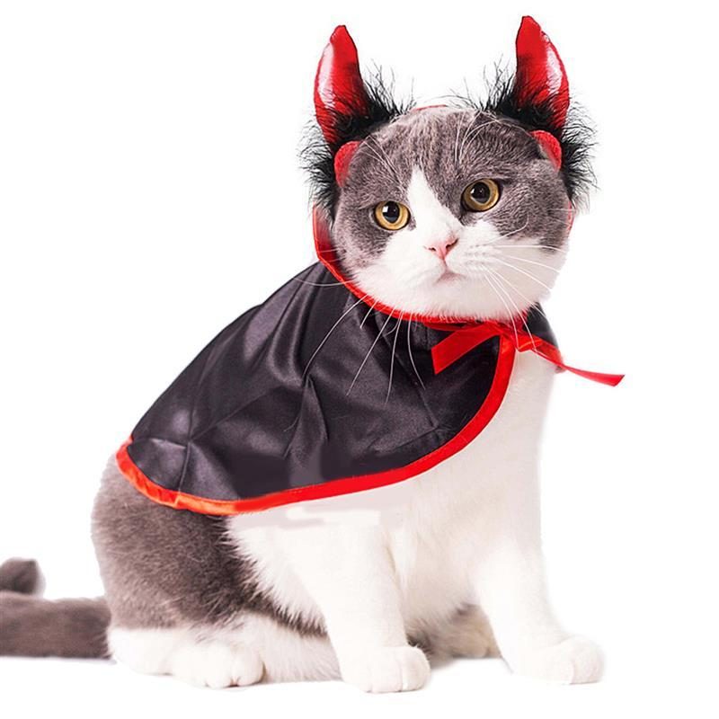 Costume Pour Animaux De Compagnie