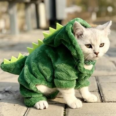 Costumes De Chat Adorables