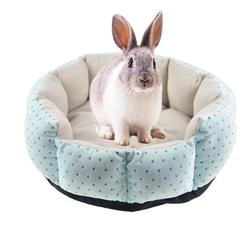 Coussin De Tapis De Lit Lapin