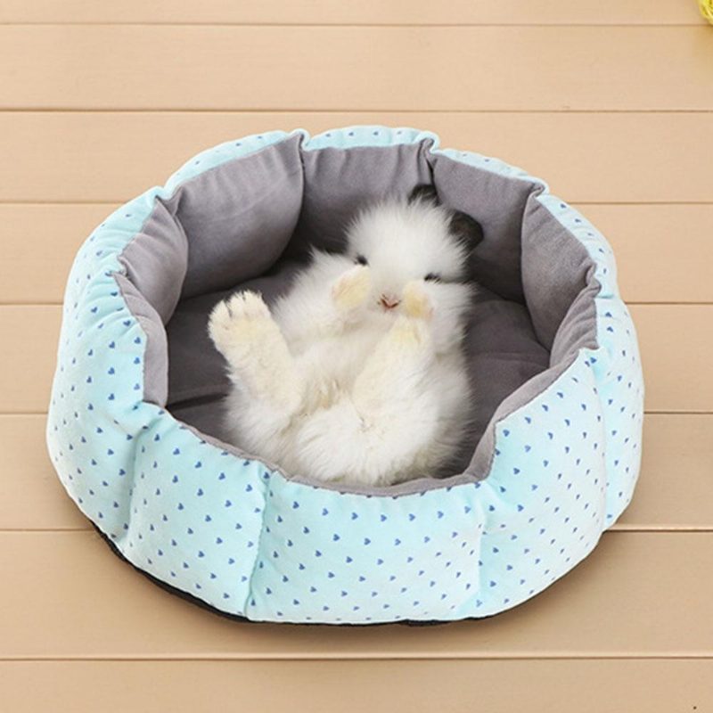 Coussin De Tapis De Lit Lapin