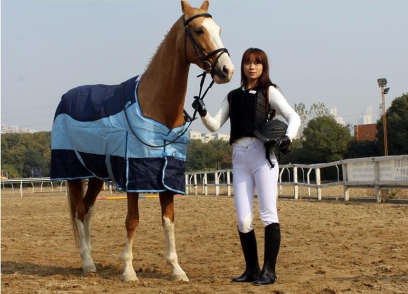 Couverture De Cheval Chaude Imperméable