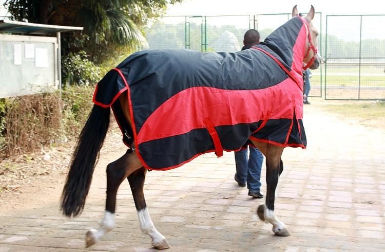 Couverture De Cheval Chaude Imperméable