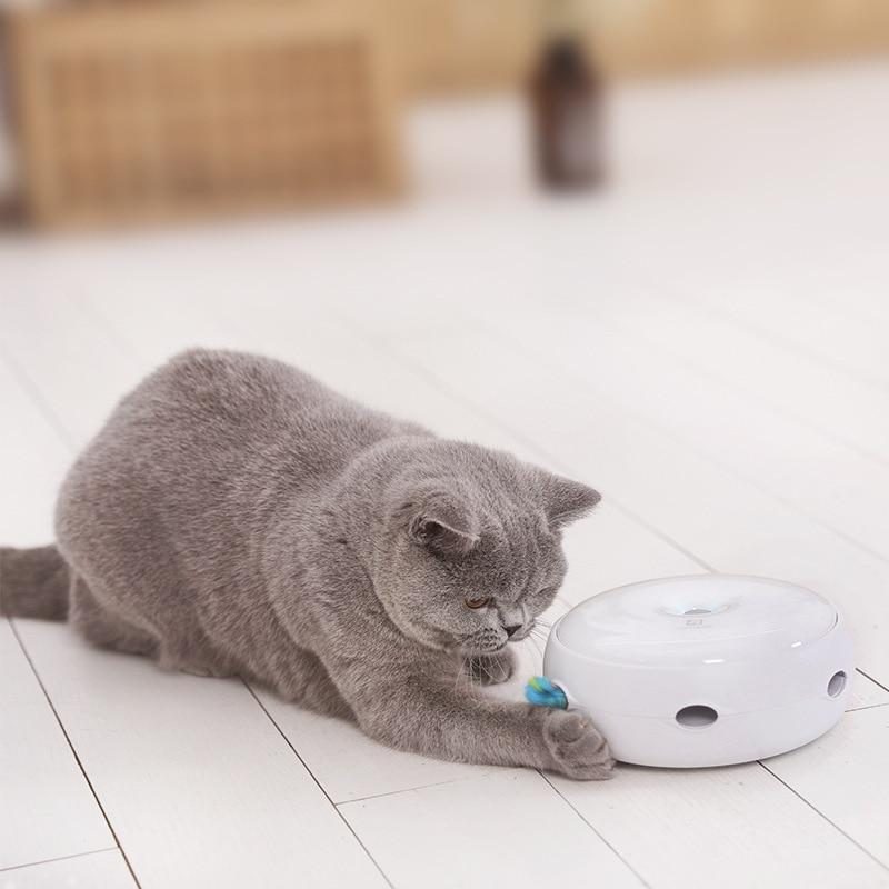 Disque Teaser Électrique Pour Chat Avec Plume