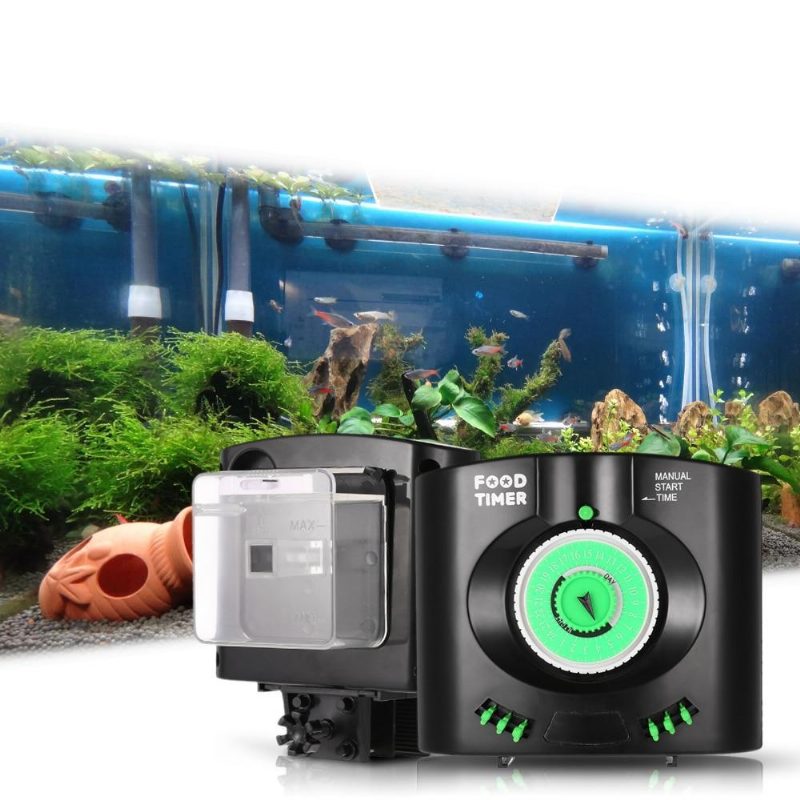 Distributeur Automatique D'alimentation De Poisson