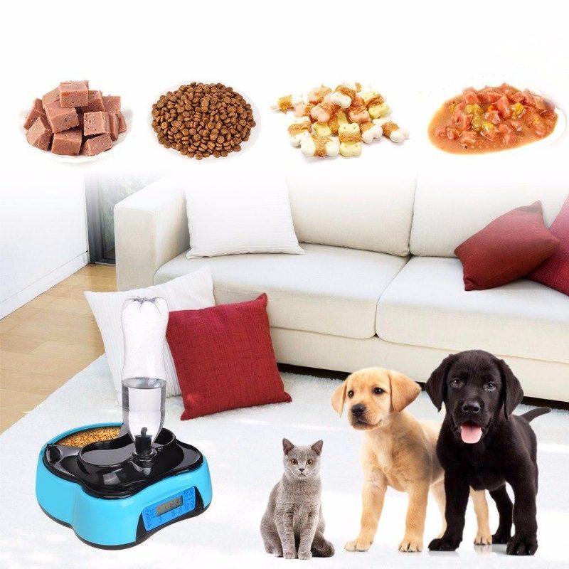 Distributeur Automatique D'eau Pour Animaux De Compagnie Avec Enregistrement Vocal Et Écran Lcd