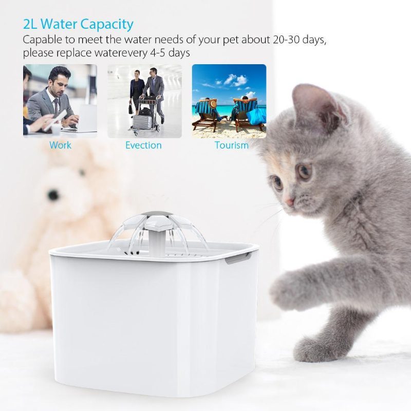 Distributeur D'eau Automatique Bol D'eau Électrique Avec Filtre Pour Animaux De Compagnie