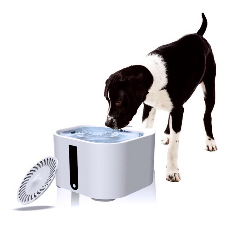 Distributeur D'eau Automatique Pour Animaux De Compagnie