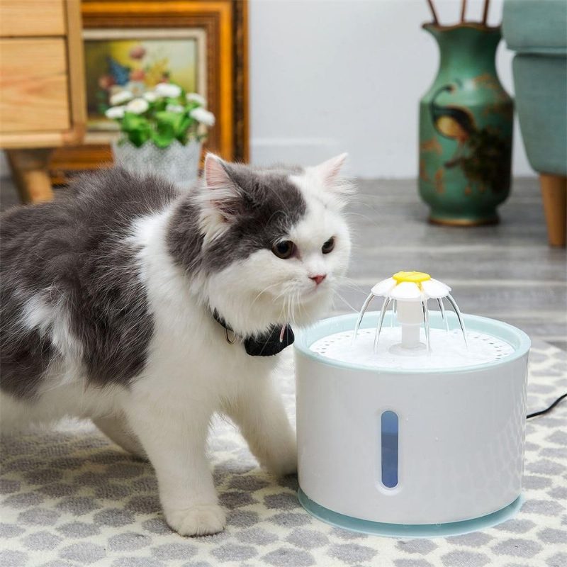 Distributeur D'eau Automatique Pour Animaux De Compagnie Design Fleur