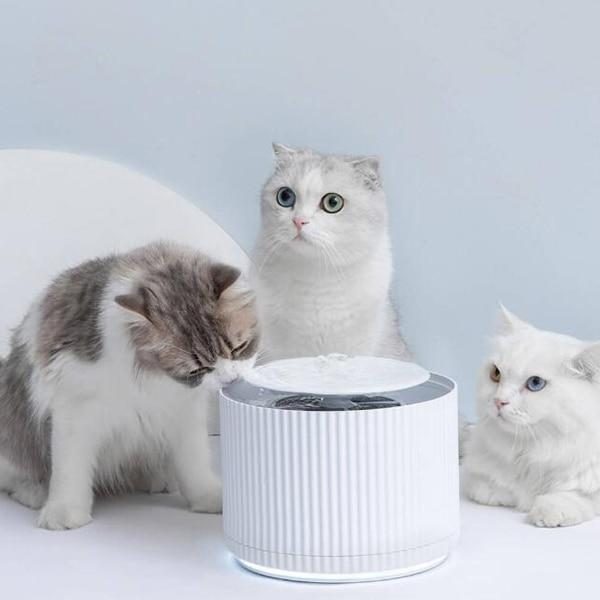 Distributeur D'eau Intelligent Pour Animaux De Compagnie