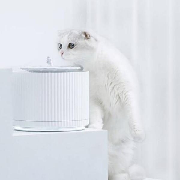 Distributeur D'eau Intelligent Pour Animaux De Compagnie