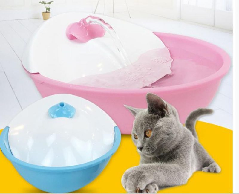 Distributeur D'eau Pour Fontaine Pour Animaux De Compagnie