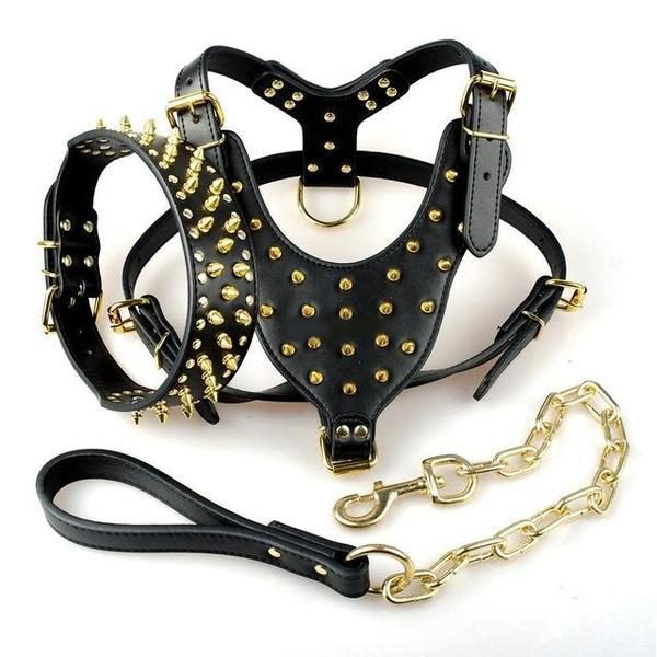 Ensemble Collier Harnais Et Laisse Pour Chien En Cuir Clouté Noir