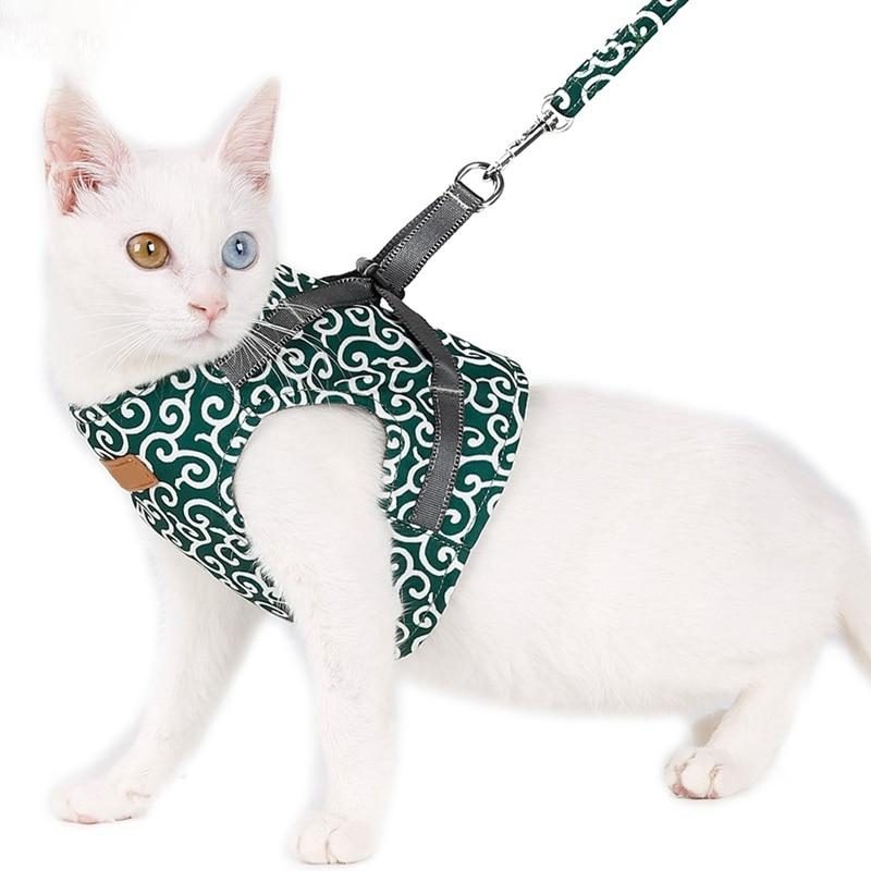 Ensemble Harnais Et Laisse Pour Chat Gilet