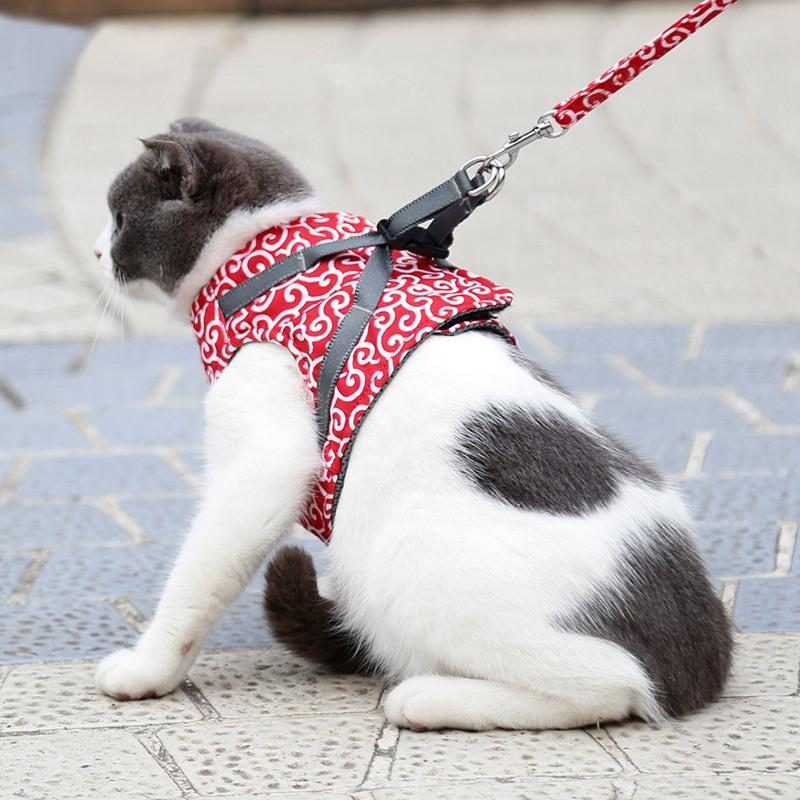 Ensemble Harnais Et Laisse Pour Chat Gilet