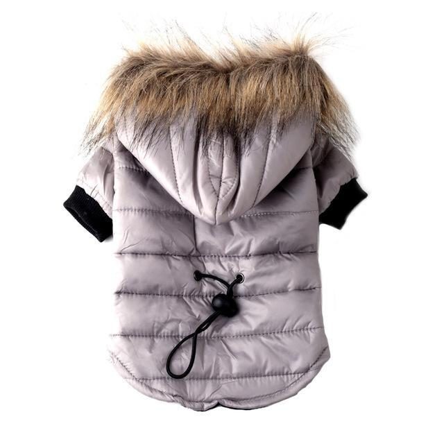 Fantastique Manteau D'hiver Pour Animaux De Compagnie Avec Capuche En Fourrure Douce