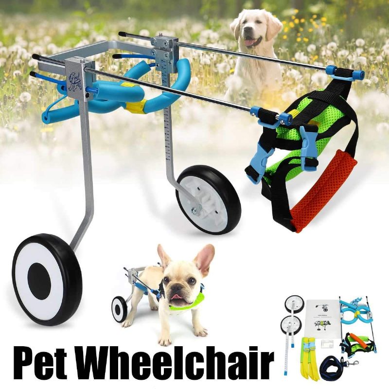 Fauteuil Roulant Pour Animaux De Compagnie 2 Roues 5 Pouces