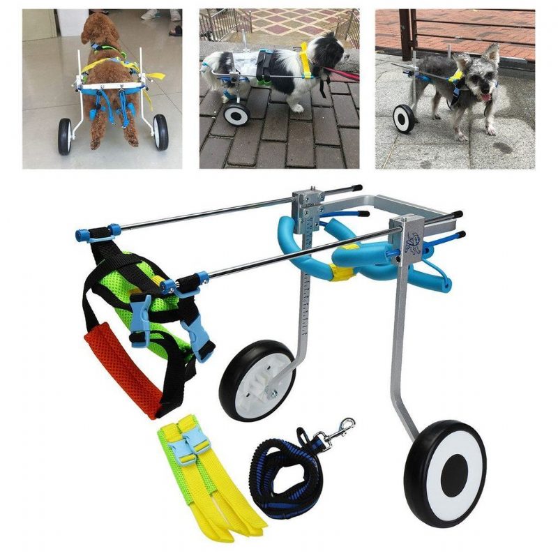 Fauteuil Roulant Pour Animaux De Compagnie 2 Roues 5 Pouces