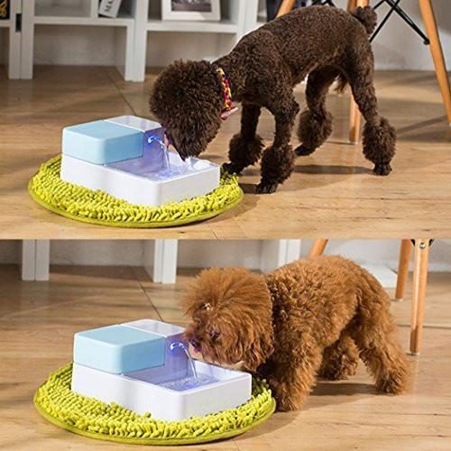 Filtres 5pcs Pour Fontaine À Boire Pour Animaux De Compagnie