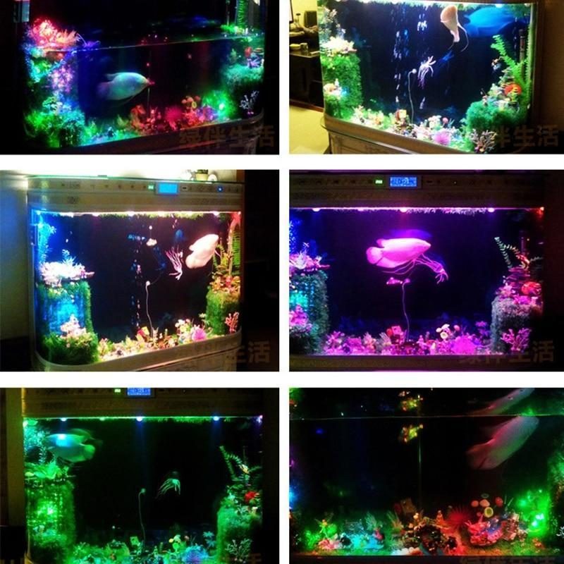 Fond De Décoration De Projecteur Étanche Pour Aquarium