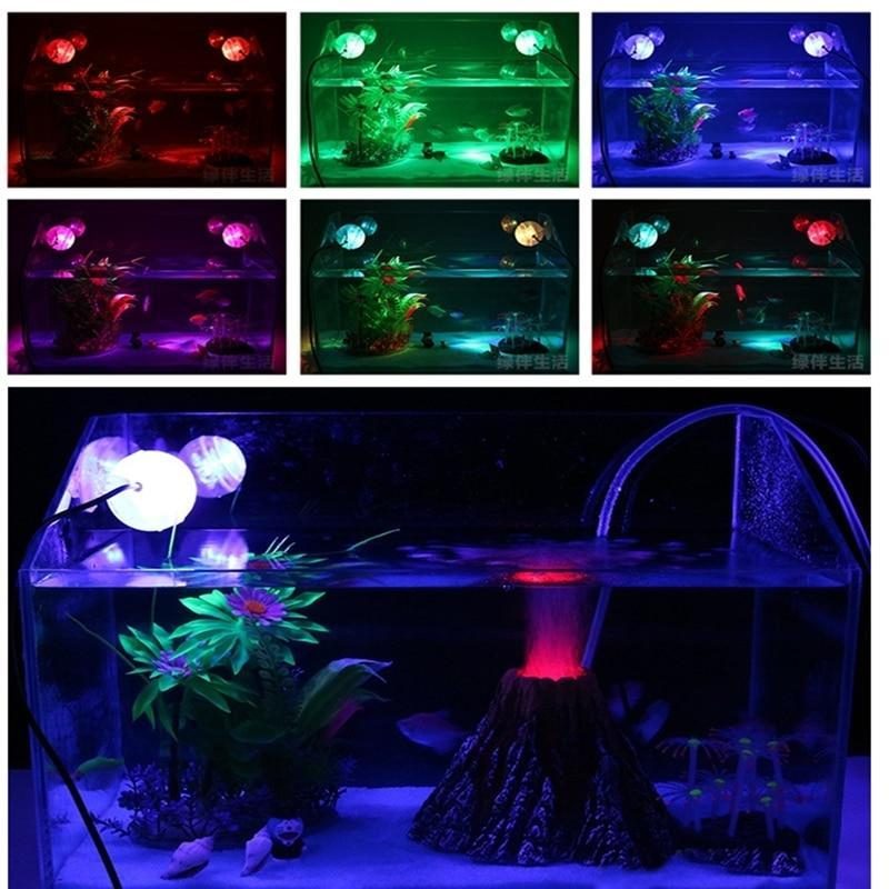 Fond De Décoration De Projecteur Étanche Pour Aquarium