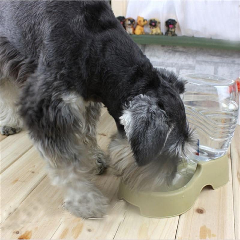 Fontaine À Boire Automatique Pour Animaux De Compagnie