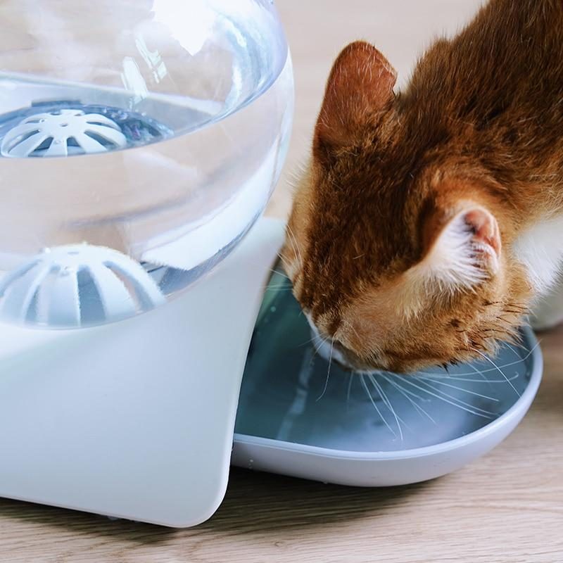 Fontaine À Boire Automatique Pour Animaux De Compagnie À Bulles